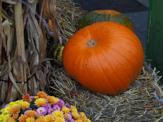 Halloween in Plopsaland (De Panne, Belgium)